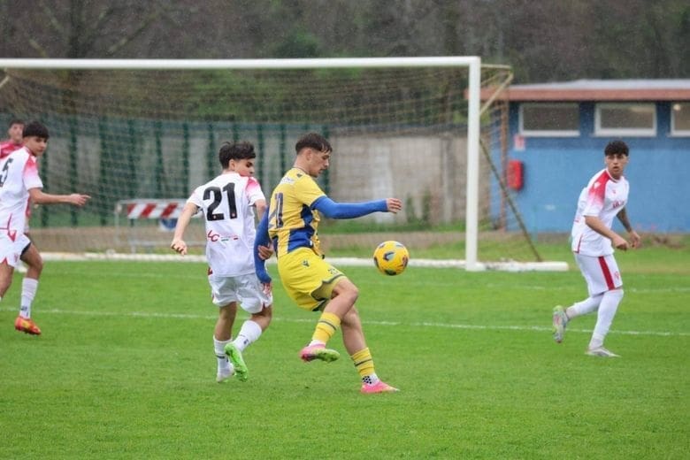 asteras
