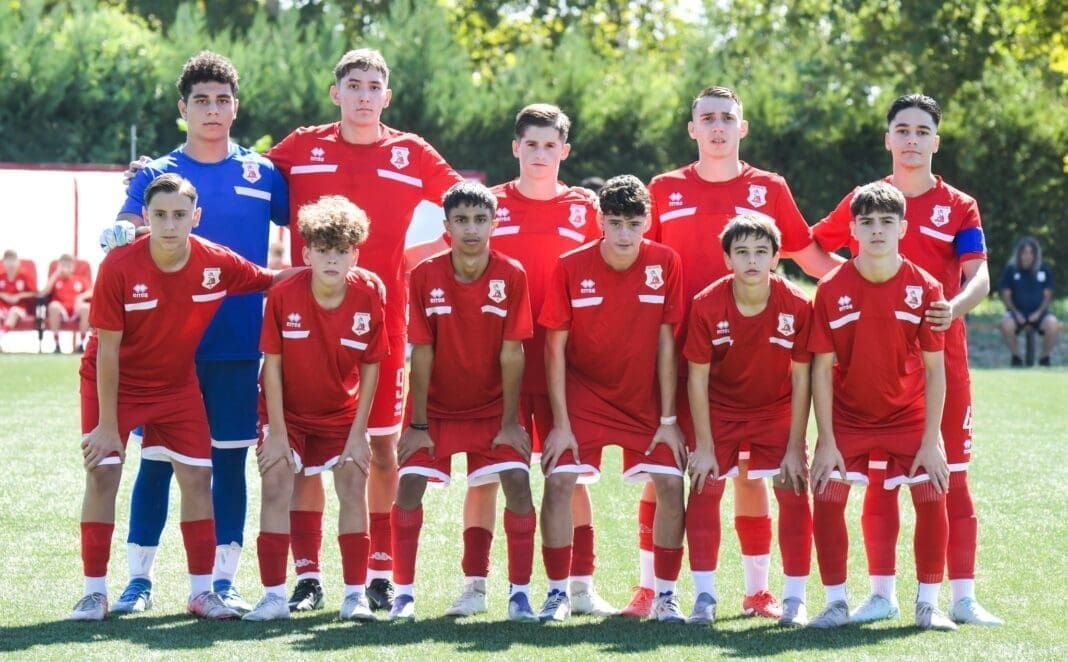 panse15