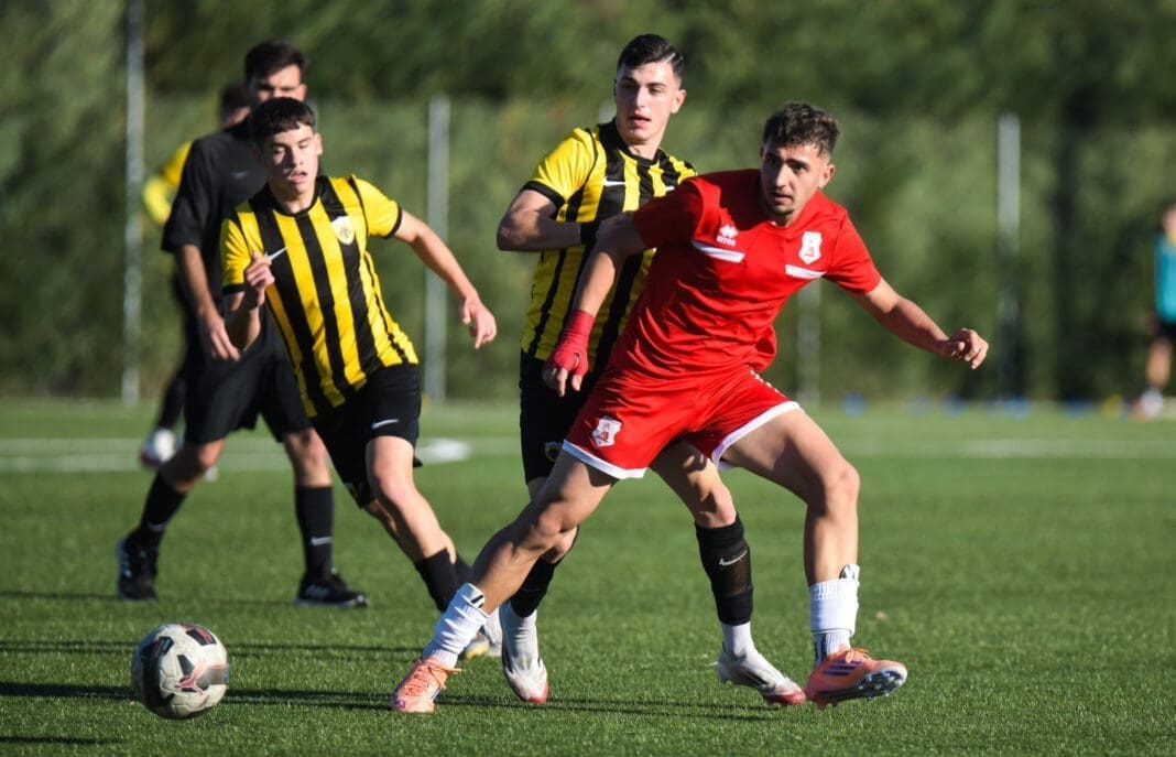 panse-aek